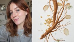 10 K Beauty Serums That Keep Skin So Hydrated It Looks Smooth Glossy and Glass Like