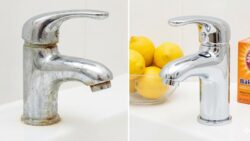 Affordable Ways to Remove Limescale and Rust—How to Make Your Bathroom Shine